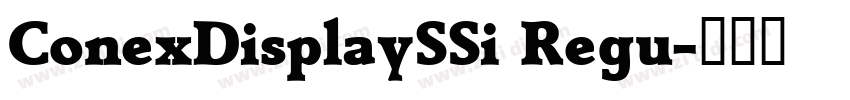 ConexDisplaySSi Regu字体转换